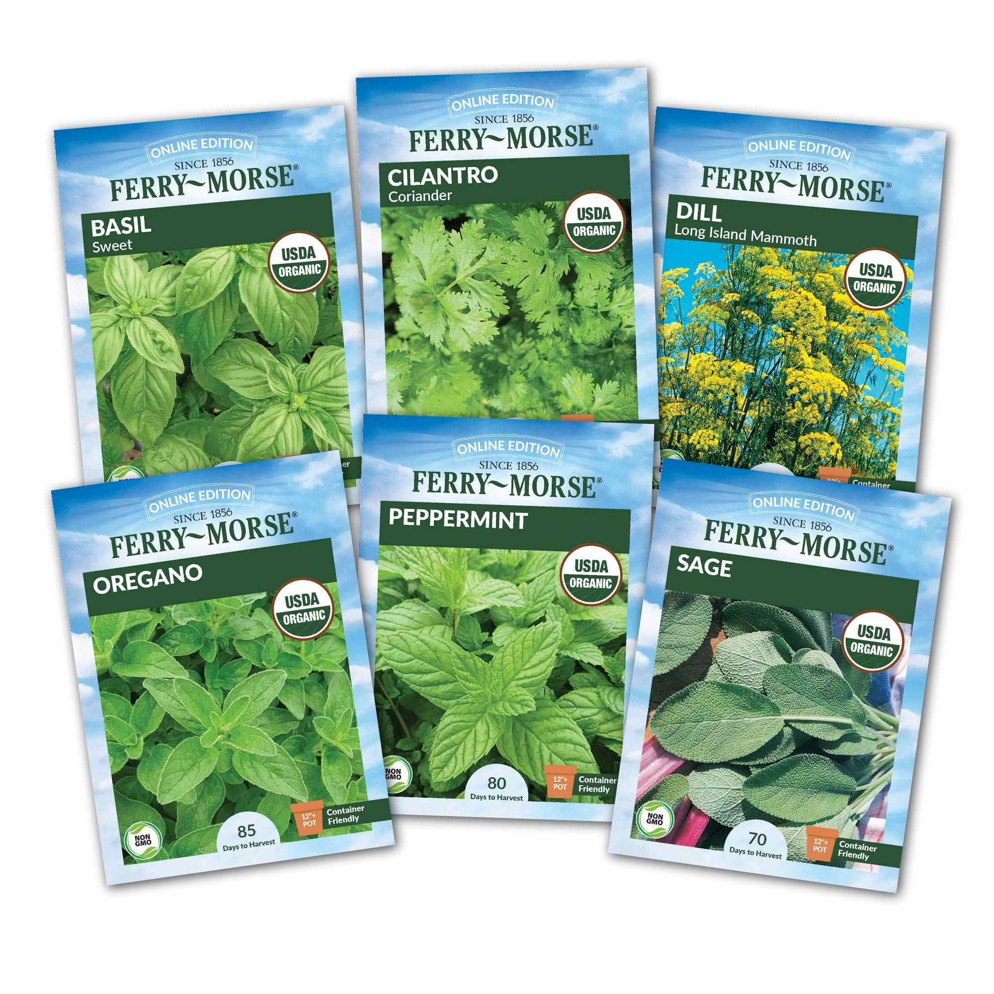 A collection of six herb seed packets including Basil, Cilantro, Dill, Oregano, Peppermint, and Sage by Ferry-Morse.